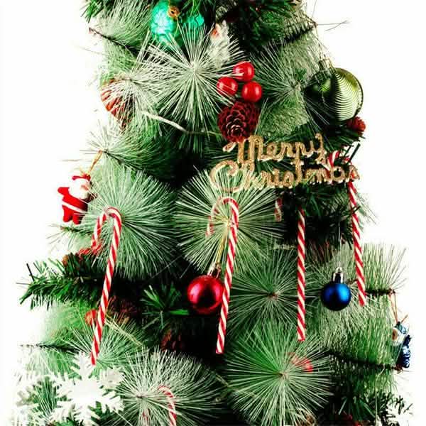 10-Piece: Plastic Candy Cane Ornaments
