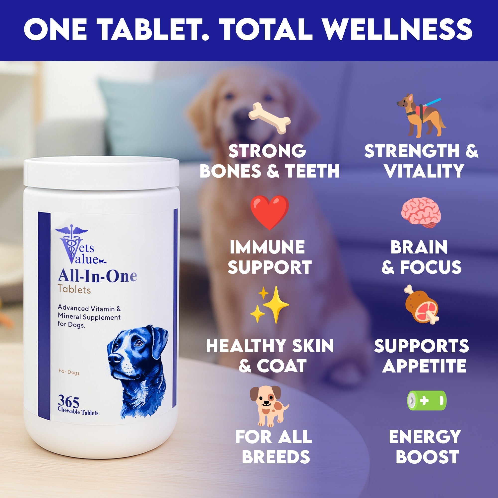 Vets Value All-in-One Dog Vitamins – 365 Chewable Tablets – Advanced Multivitamin & Mineral Supplement for Dogs – Supports Jo