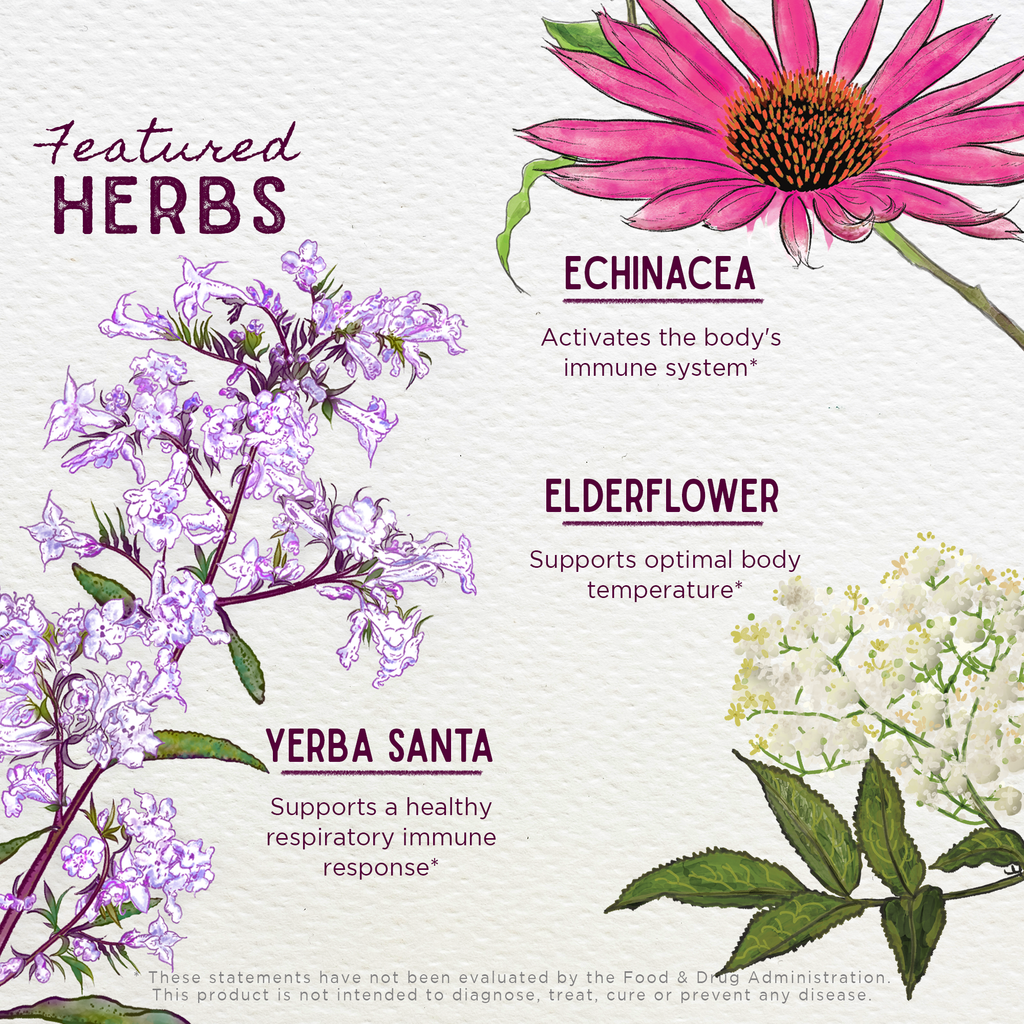 Congestion Rescue Immune Support for Pregnancy - Pregnancy image