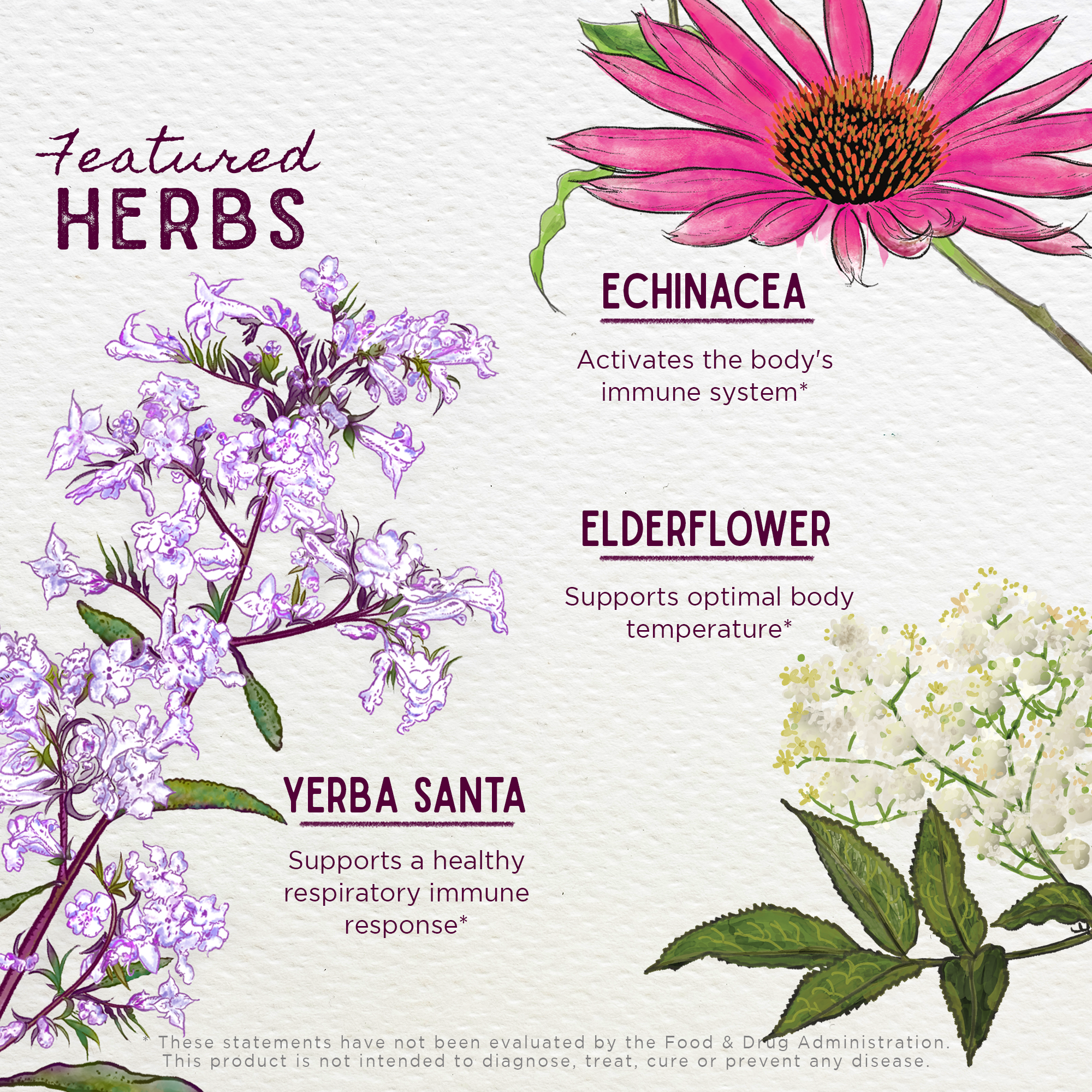 Congestion Rescue Immune Support for Pregnancy - Pregnancy image