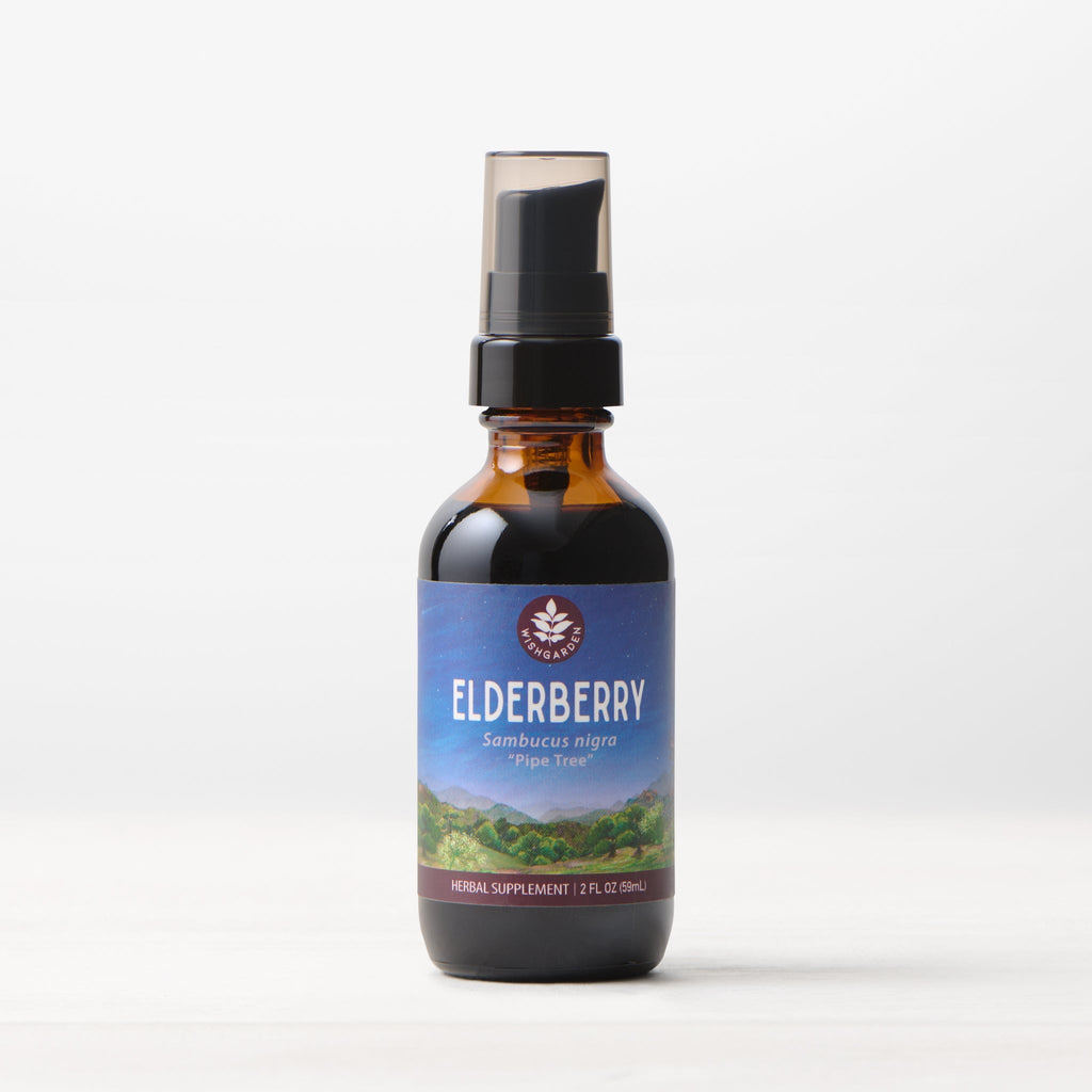 Elderberry - Adult image