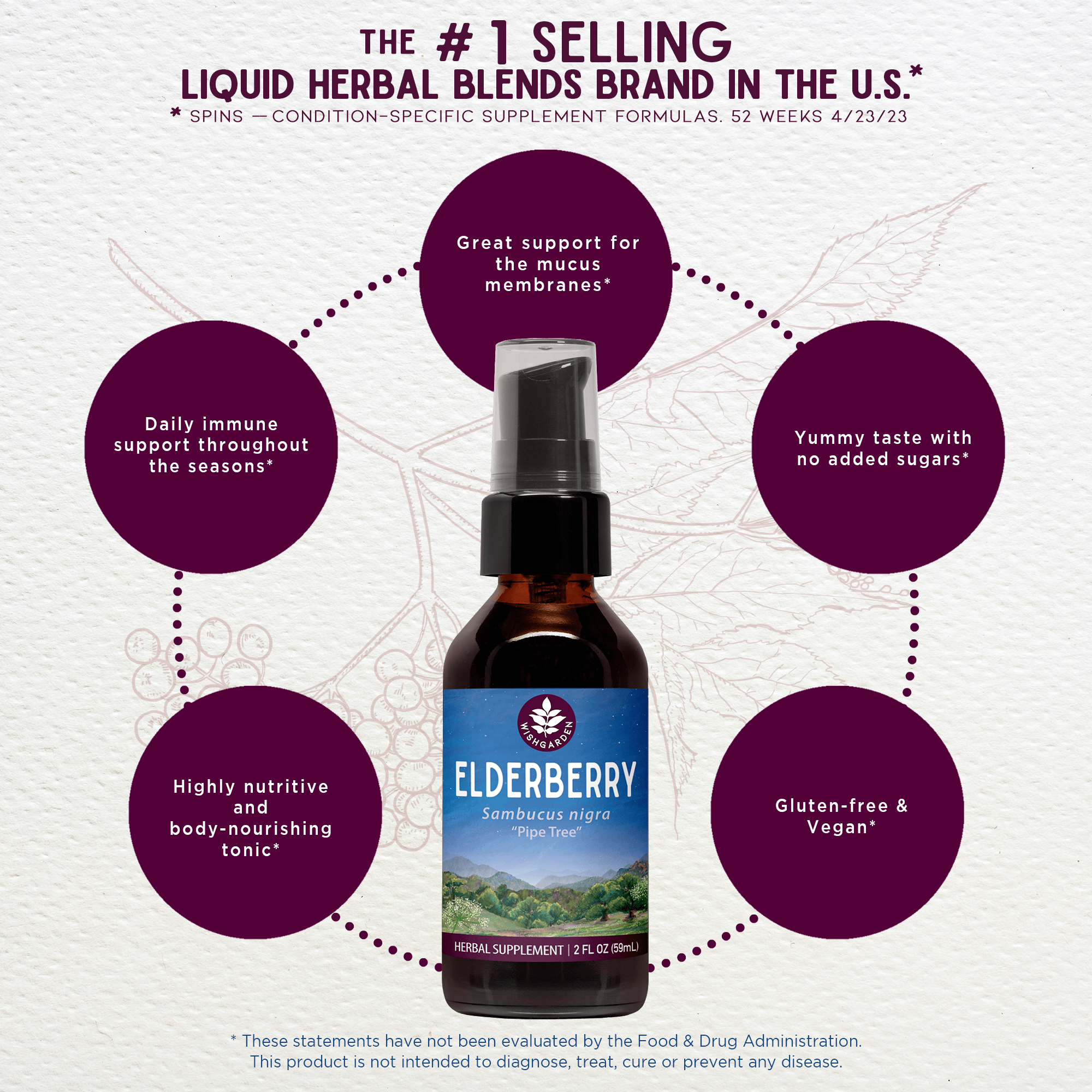 Elderberry - Adult image
