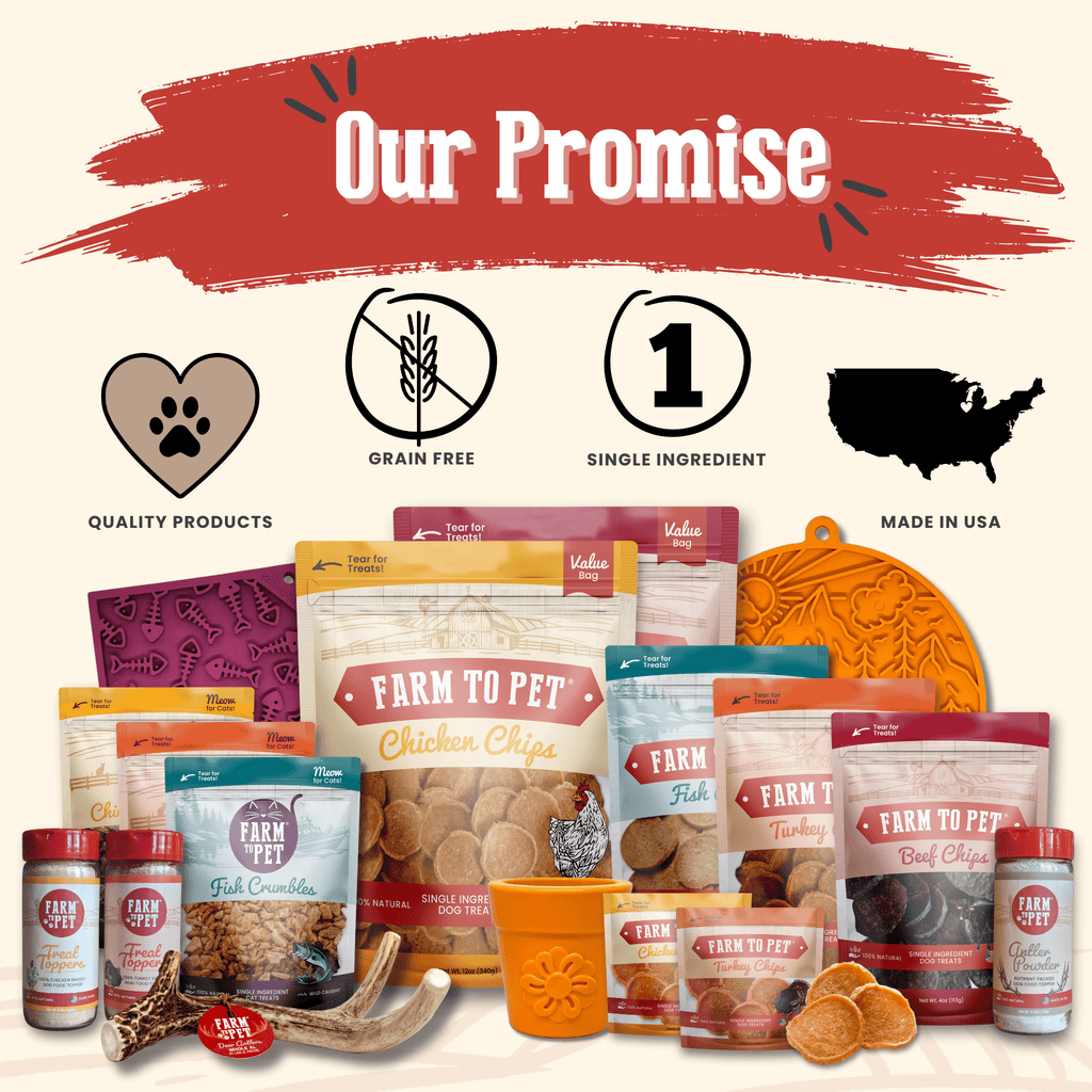 Chicken Chips Snack Pack Bundles | Dog Party Favors & Training Treats - Snack Pack image