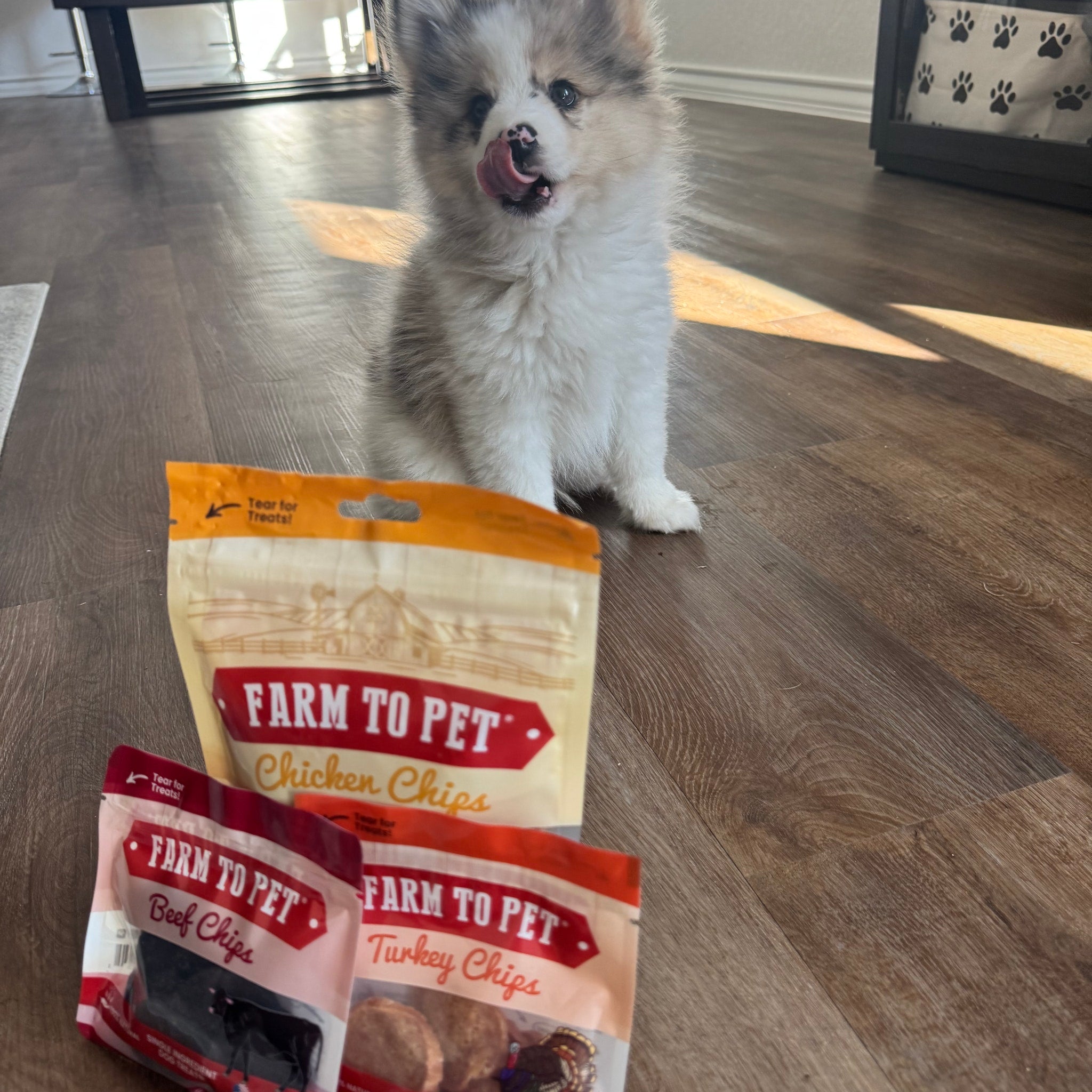 Puppy Packs 'n Snacks Dog Treat Starter Pack | Single-Ingredient Training Treats - Bundle image