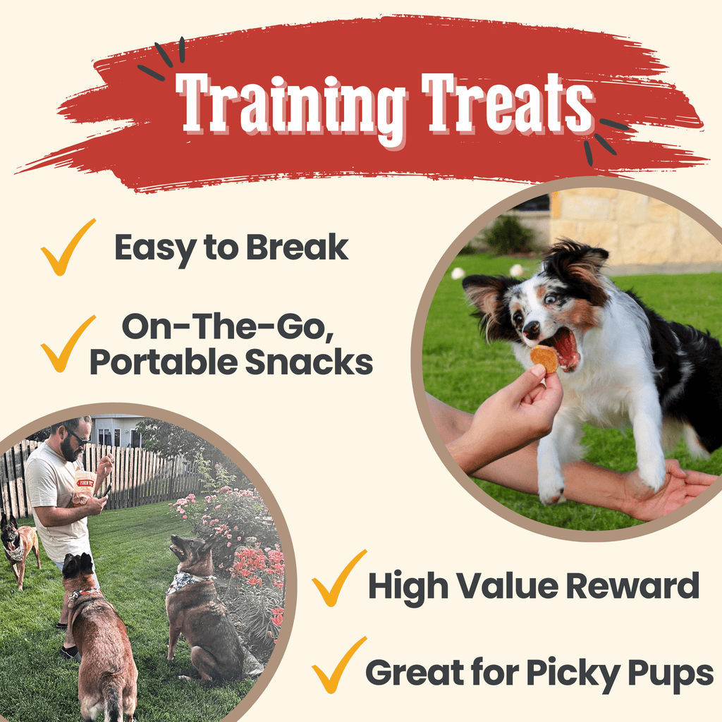 Chicken Chips for Dogs | All-Natural Single-Ingredient Dog Treats - Chip image