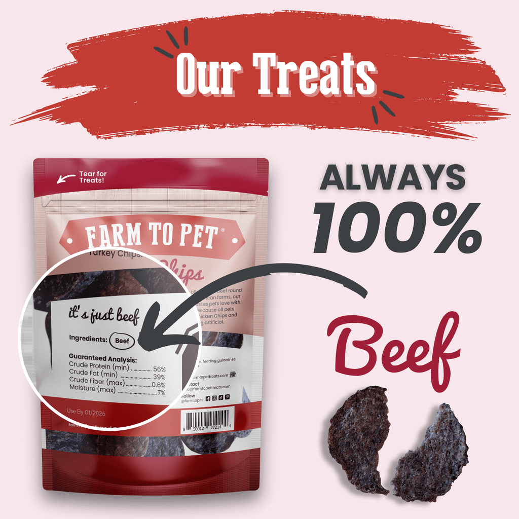 Beef Chips Dog Treats | Single-Ingredient Healthy Treats for Dogs - Chip image