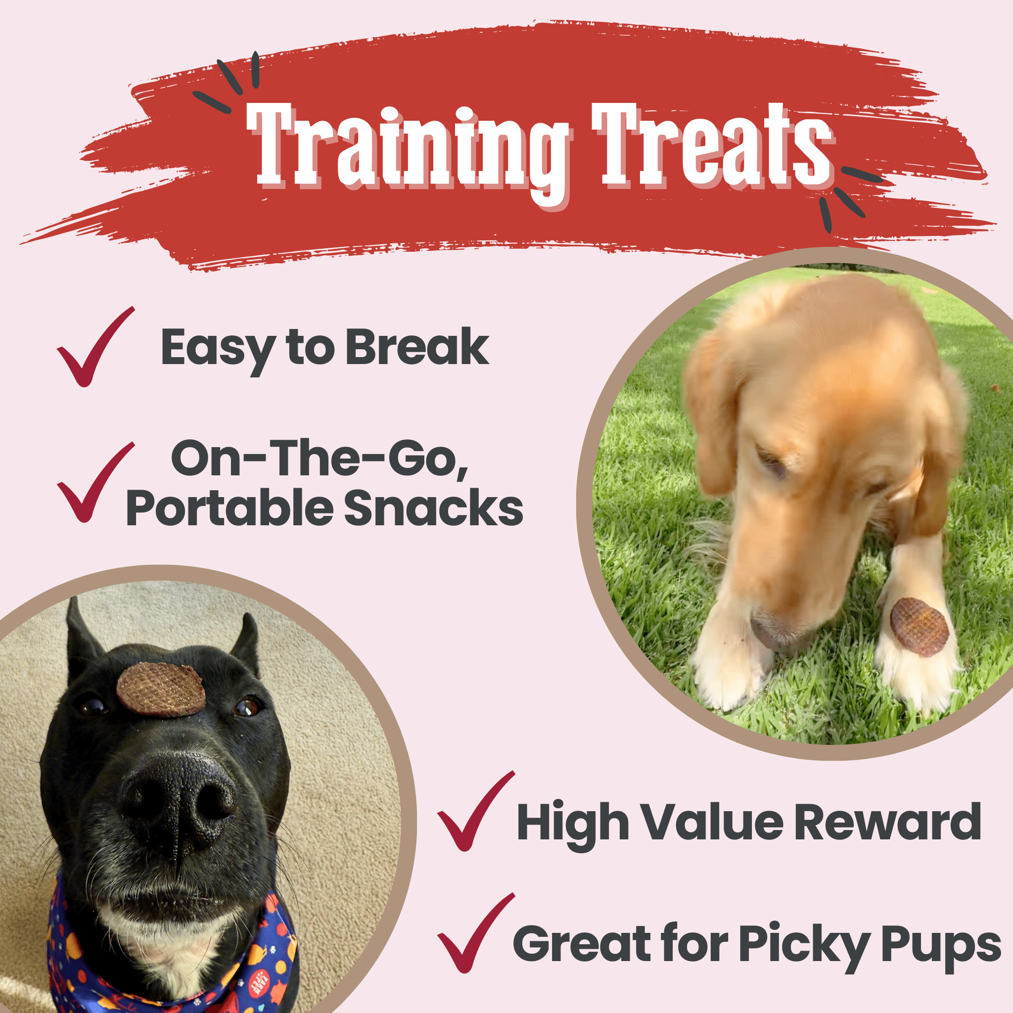 Beef Chips Dog Treats | Single-Ingredient Healthy Treats for Dogs - Chip image