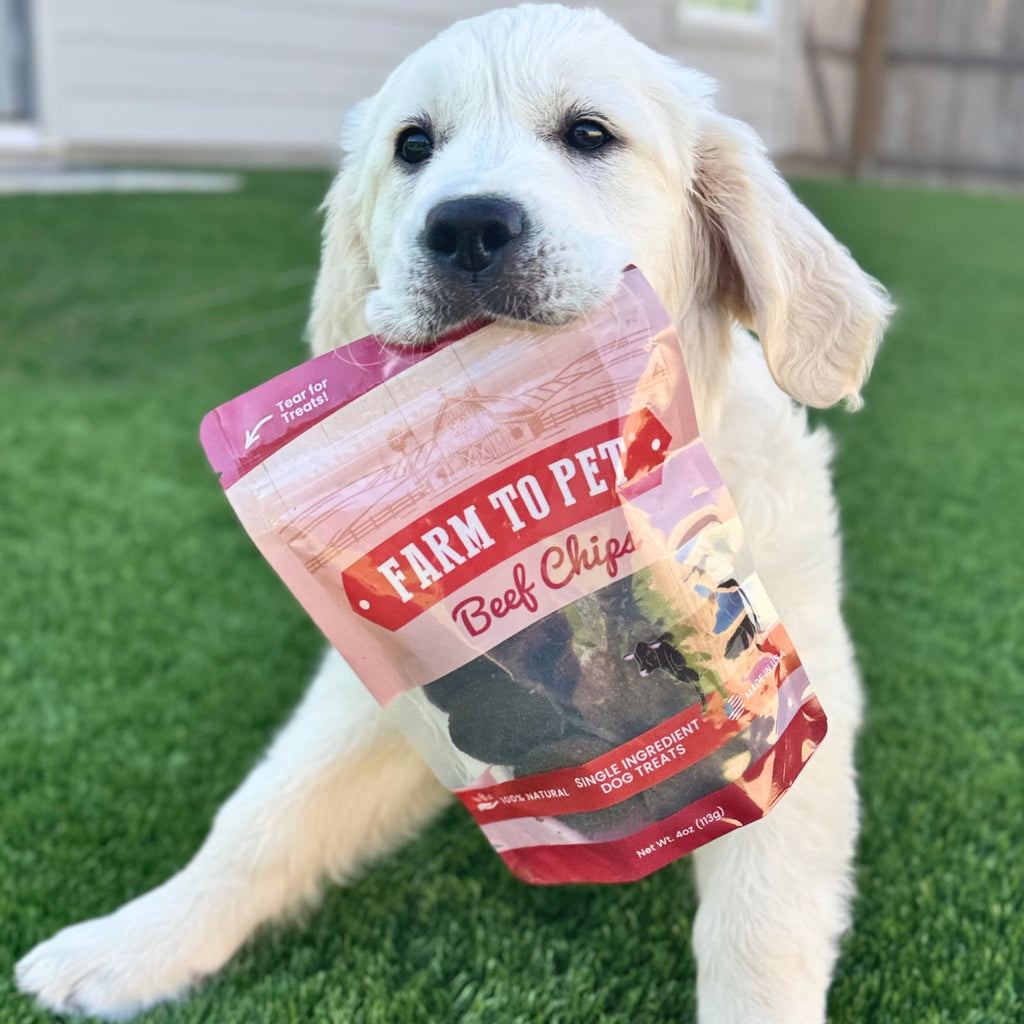 Beef Chips Dog Treats | Single-Ingredient Healthy Treats for Dogs - Chip image