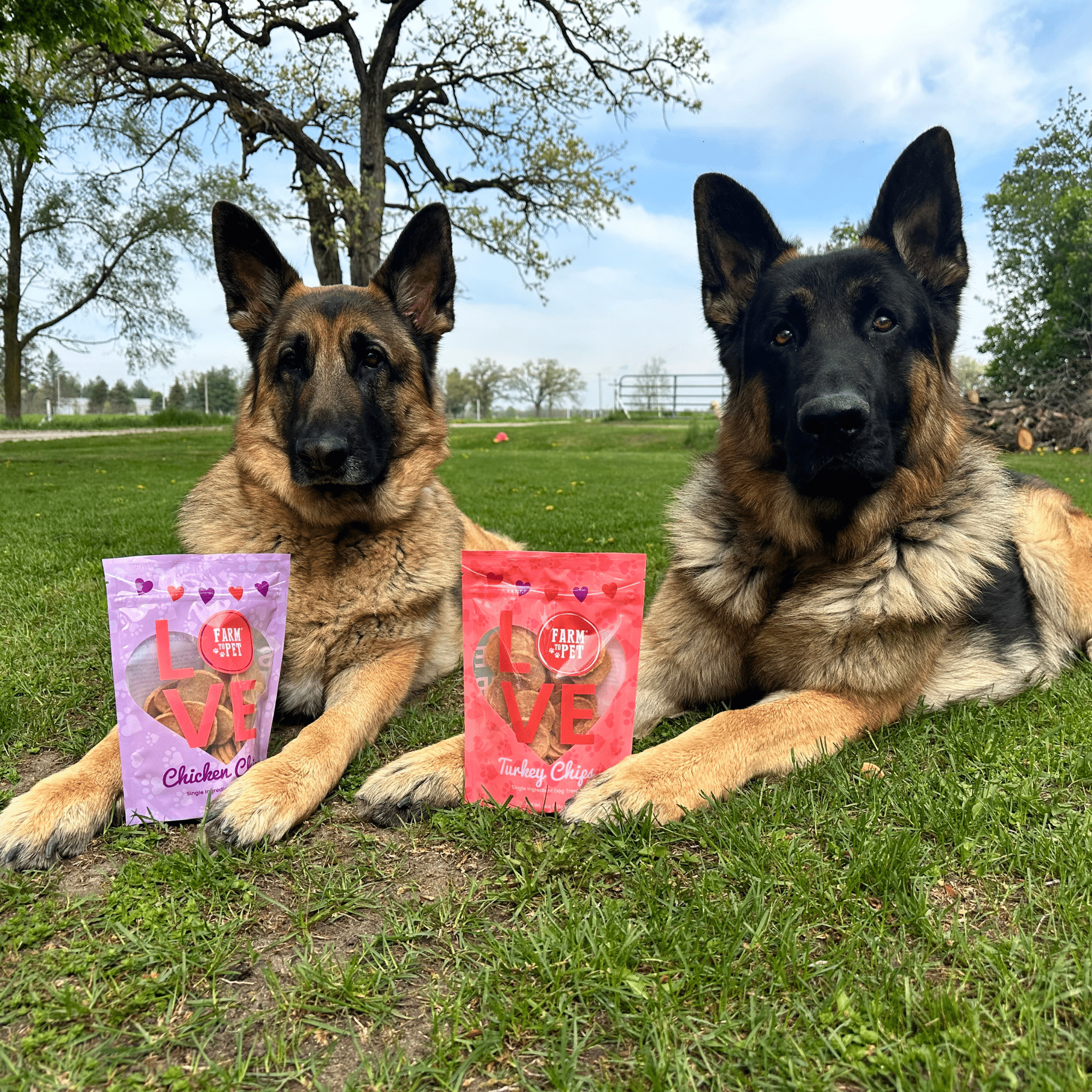 Puppy Love Dog Treat Duo | Poultry Chip Variety Pack - Chip image