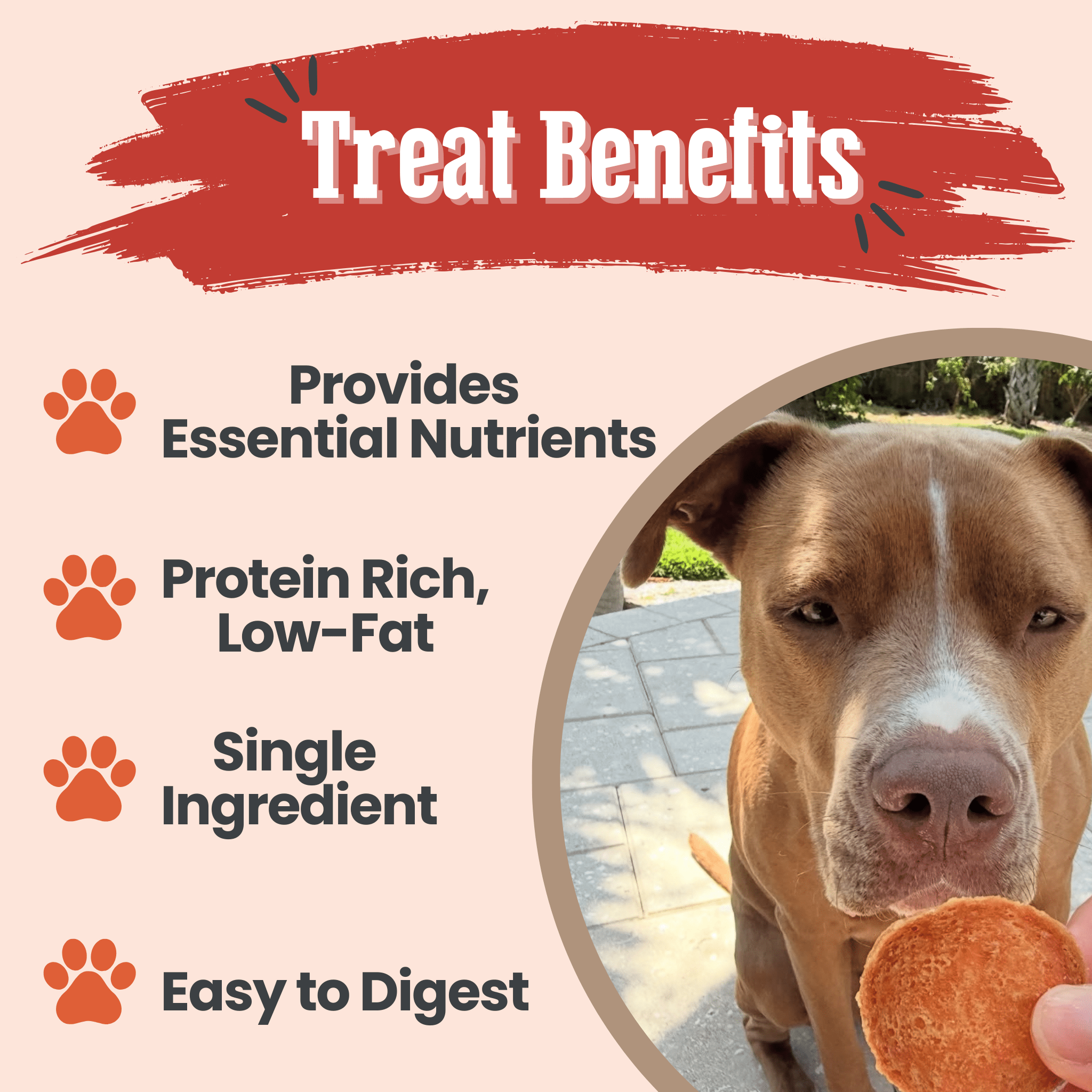 Turkey Chips for Dogs | All-Natural Single-Ingredient Healthy Dog Treats - Chip image