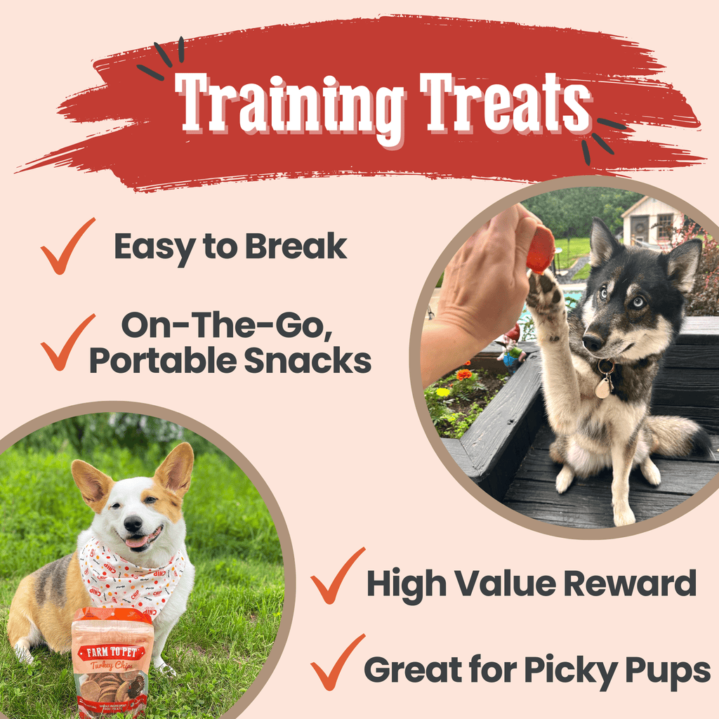 Turkey Chips for Dogs | All-Natural Single-Ingredient Healthy Dog Treats - Chip image