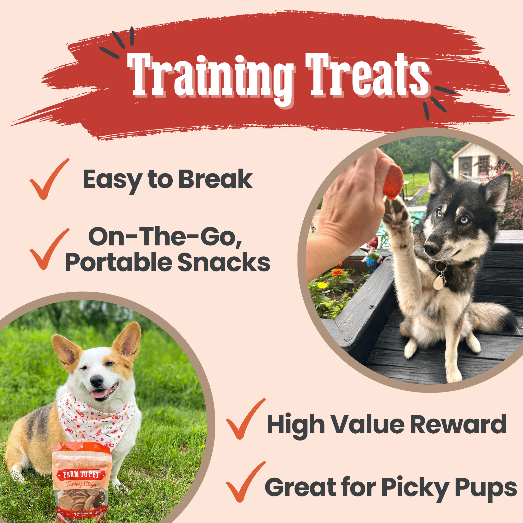 Turkey Chips for Dogs | All-Natural Single-Ingredient Healthy Dog Treats - Chip image