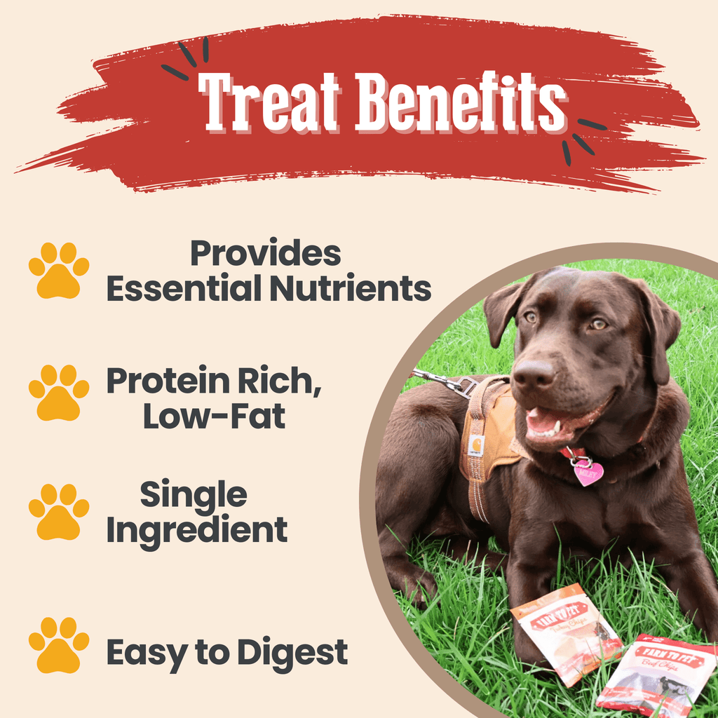 Snack Pack Dog Treat Sampler - Snack Pack image