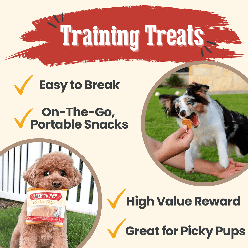 Chicken Chips Snack Pack Bundles | Dog Party Favors & Training Treats - Snack Pack image