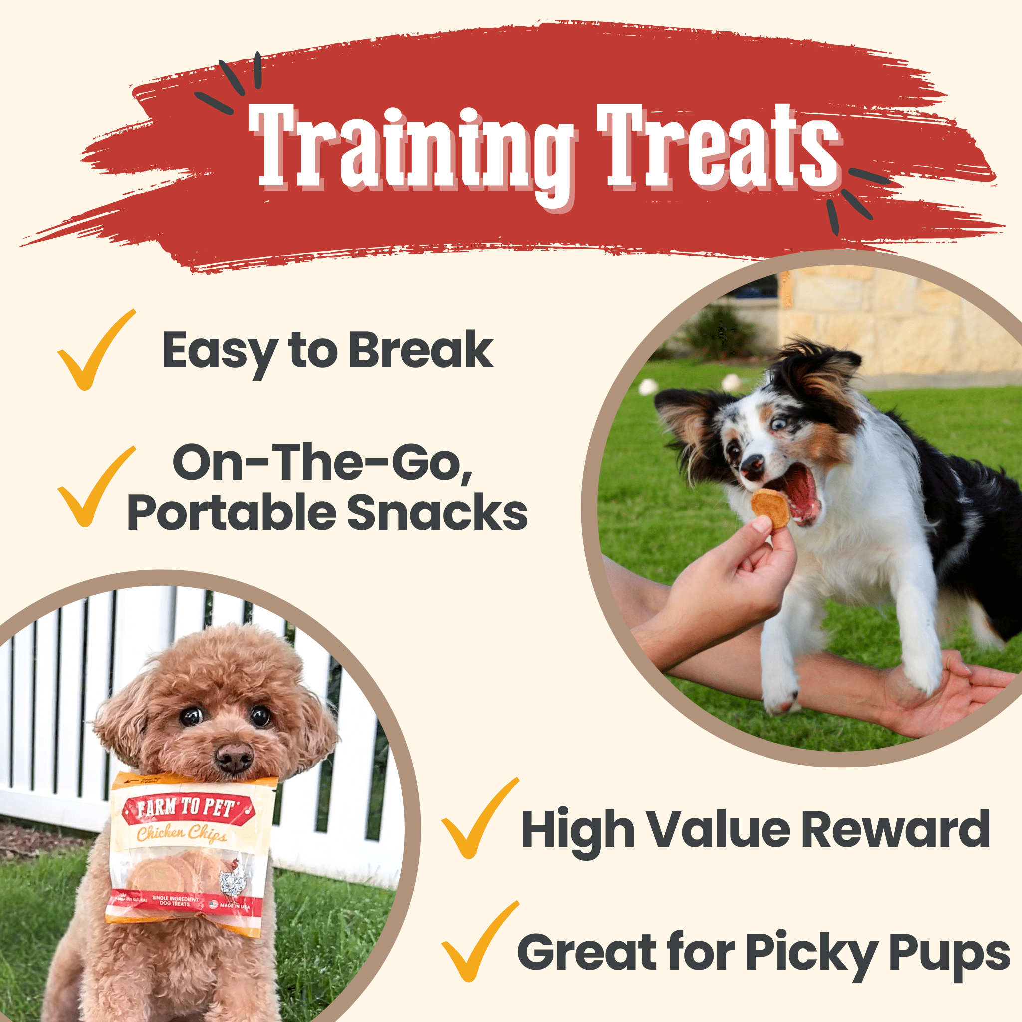 Chicken Chips Snack Pack Bundles | Dog Party Favors & Training Treats - Snack Pack image