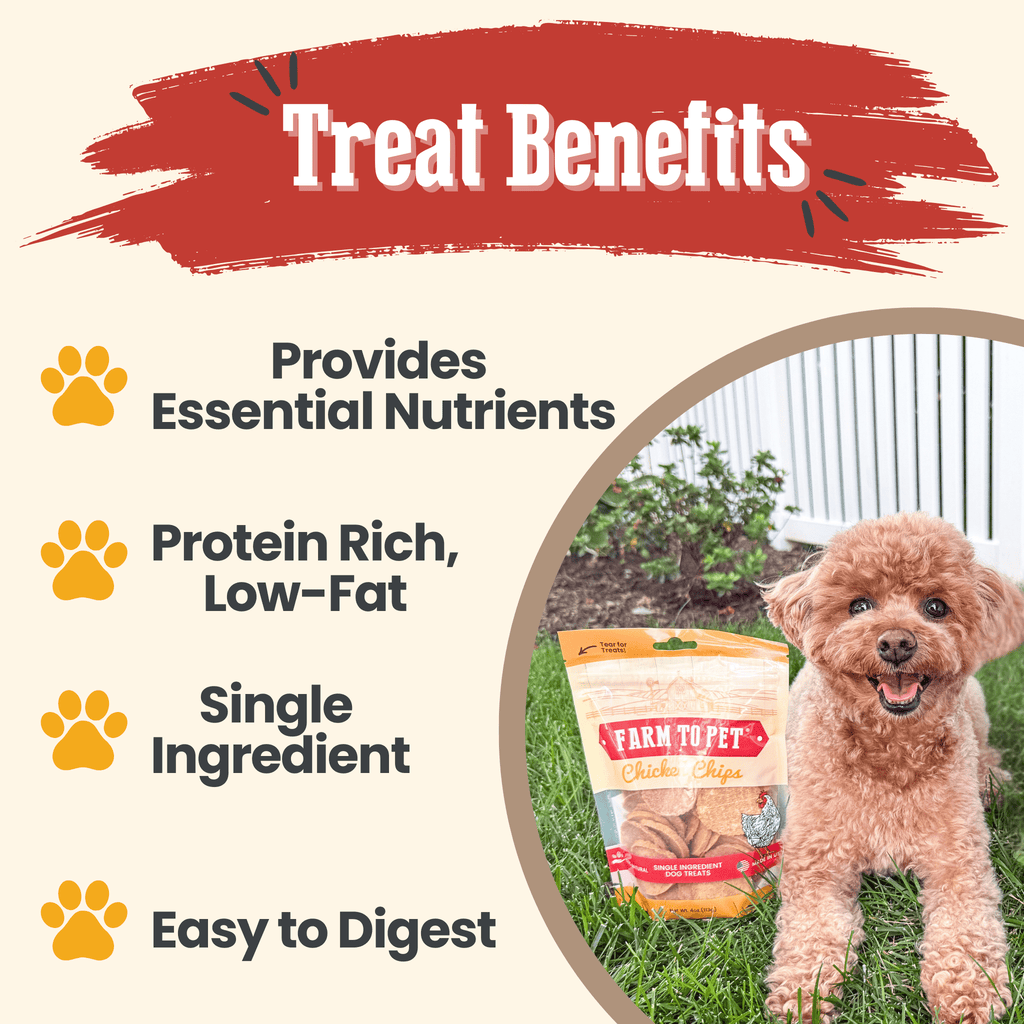 Chicken Chips for Dogs | All-Natural Single-Ingredient Dog Treats - Chip image