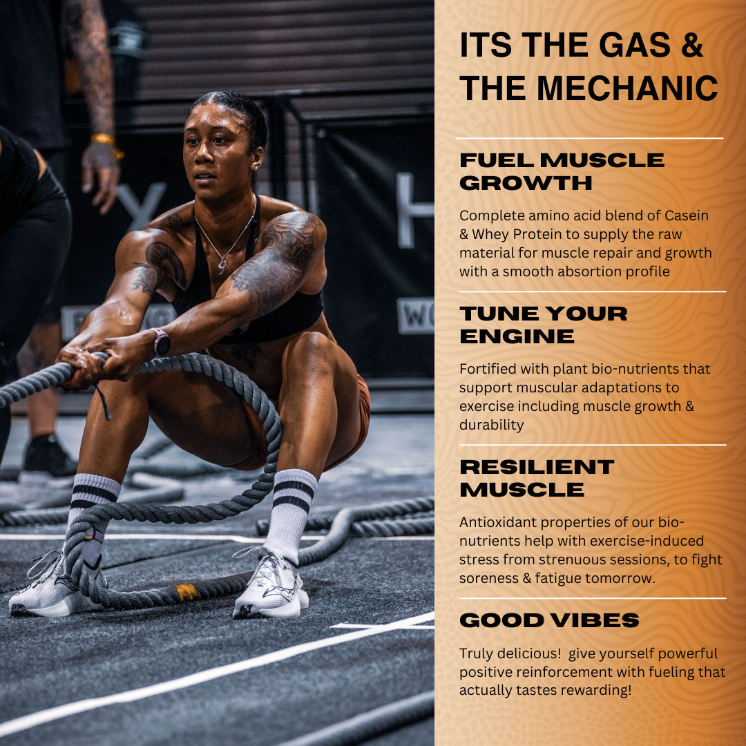 GAIN GROG PROTEIN MIX - Vanilla <br>20 Servings - Supplement image