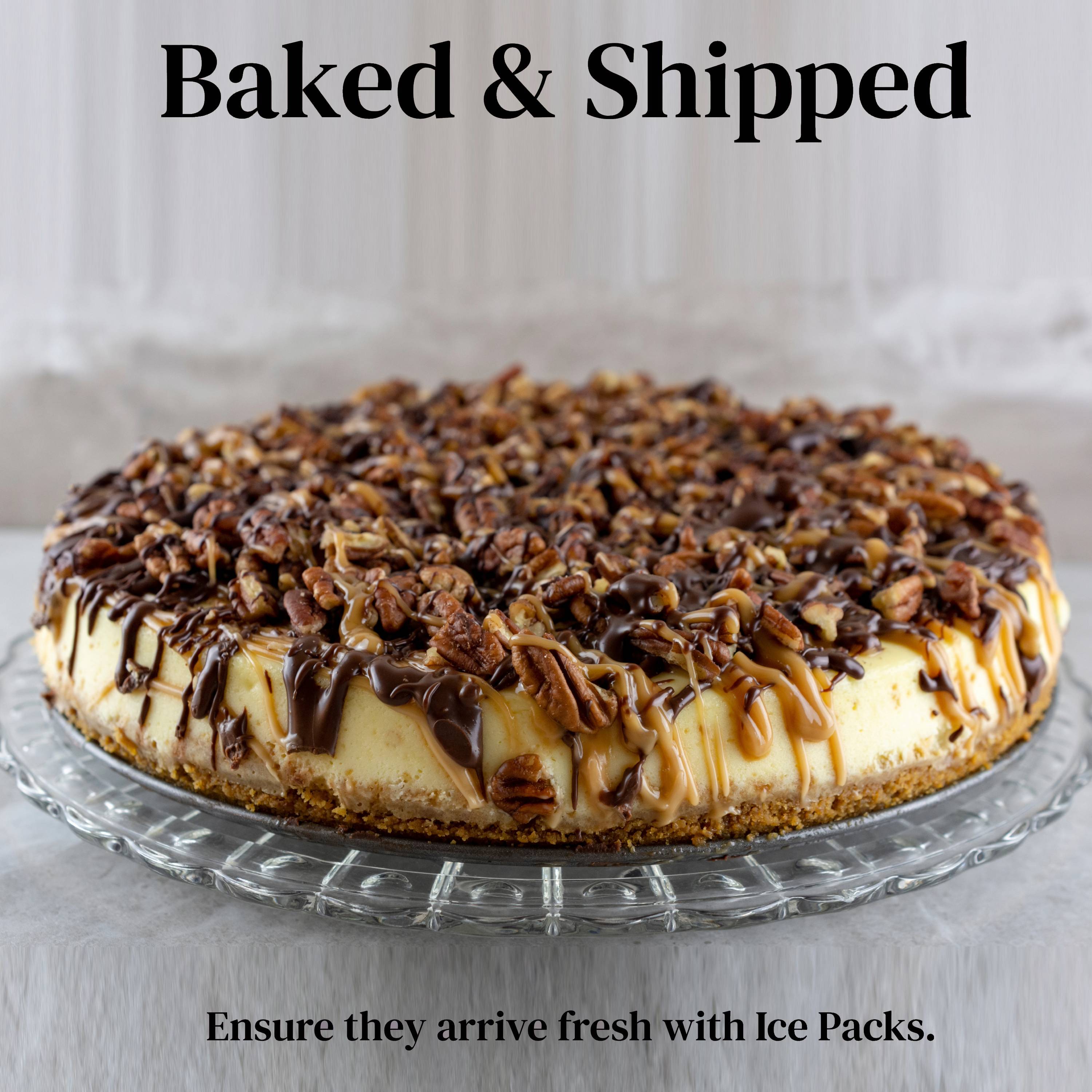 Andy Anand Freshly Baked Turtle Cheesecake 9" with Chocolate Chip & Nuts Irresistible Desserts, Birthday Cheesecake in Ny Style - 2 lbs