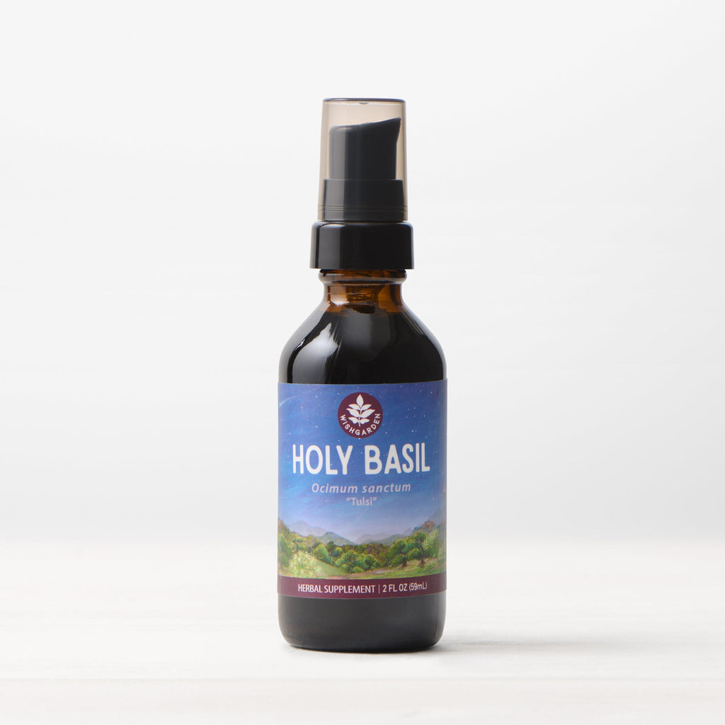 Holy Basil