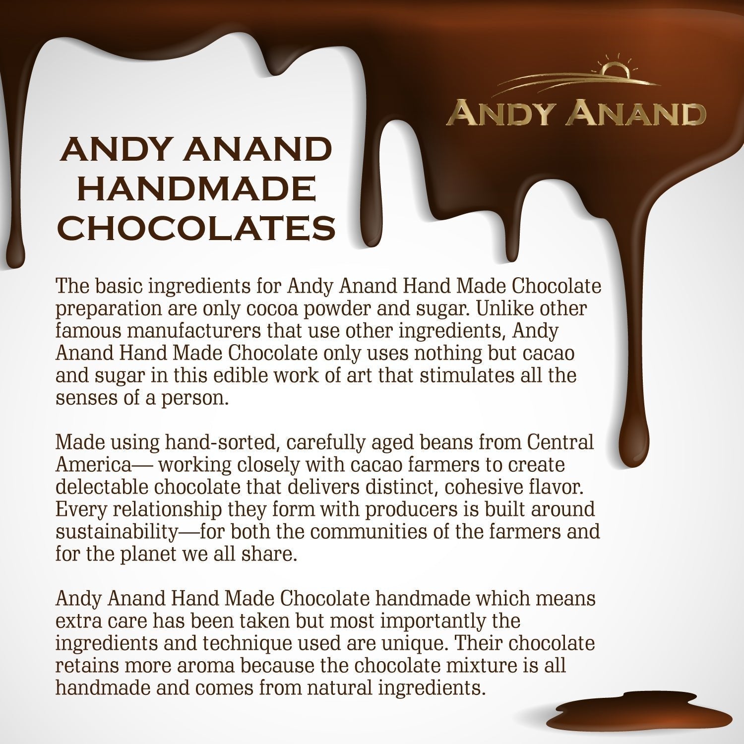 Andy Anand Apple Pie 10" - 4.5 lbs Indulgence in Every Bite, Classic Comfort: Baked Apple Pie with Tender Apples and Flaky Crust