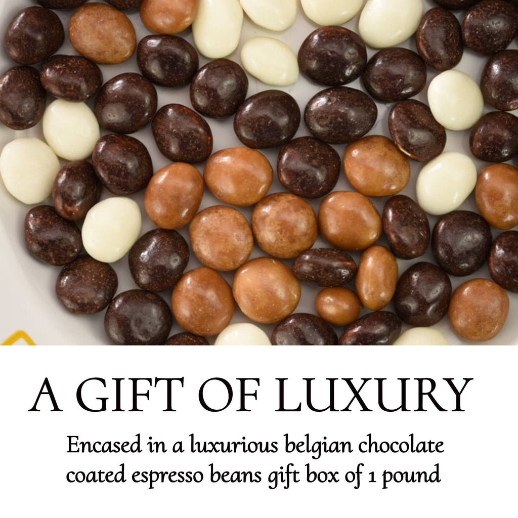 Andy Anand Espresso Coffee Chocolate – Belgian Coffee-Infused Assortment of 5 Flavors, 1 lb Gift Box of Decadent Treats Made with 60% Chocolate (Cocoa Butter)