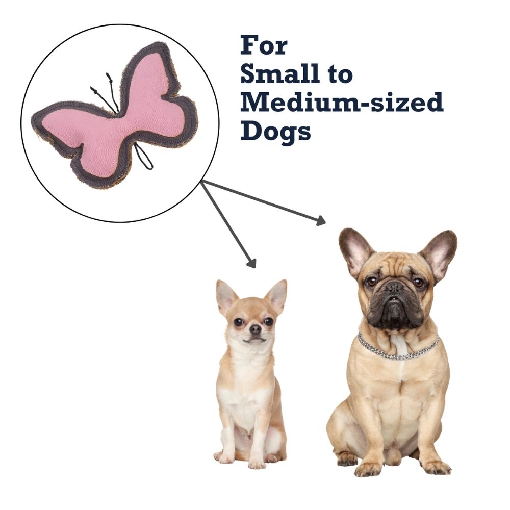 Country Living Canvas & Jute Butterfly-Shaped Dog Chew Toy – Durable, Safe and Non-Toxic
