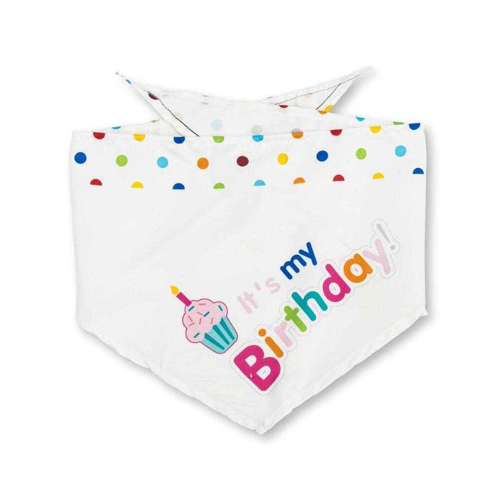 4-Piece Dog Birthday Kit – Celebrate in Style with Bandana, Hat, Bow Tie & Plush Toy
