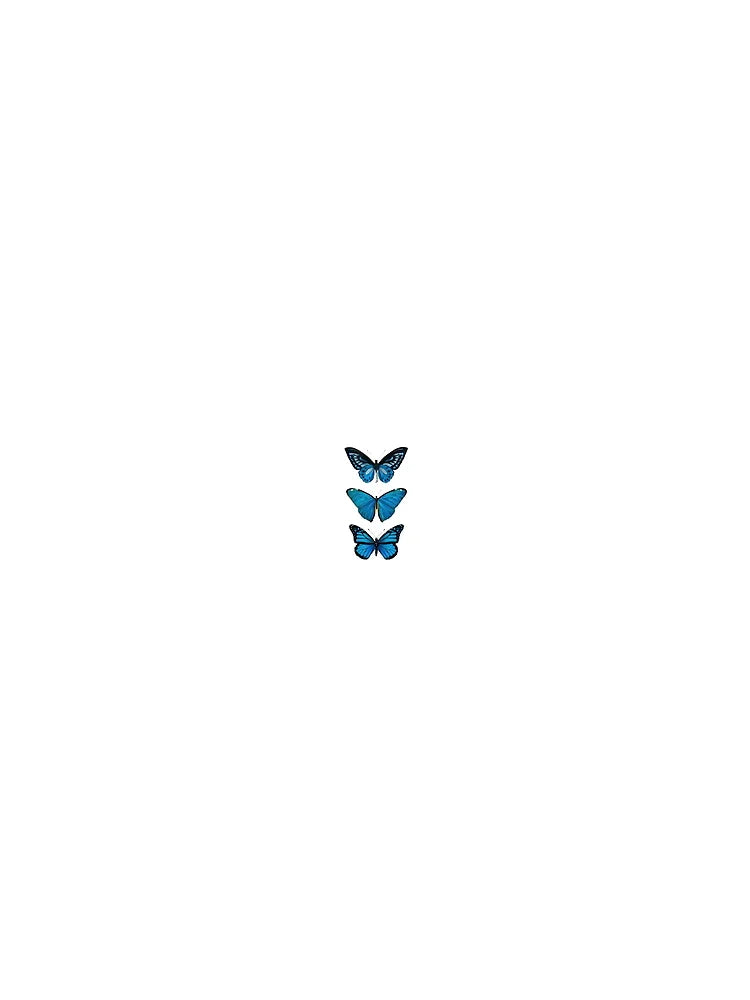 blue butterfly
