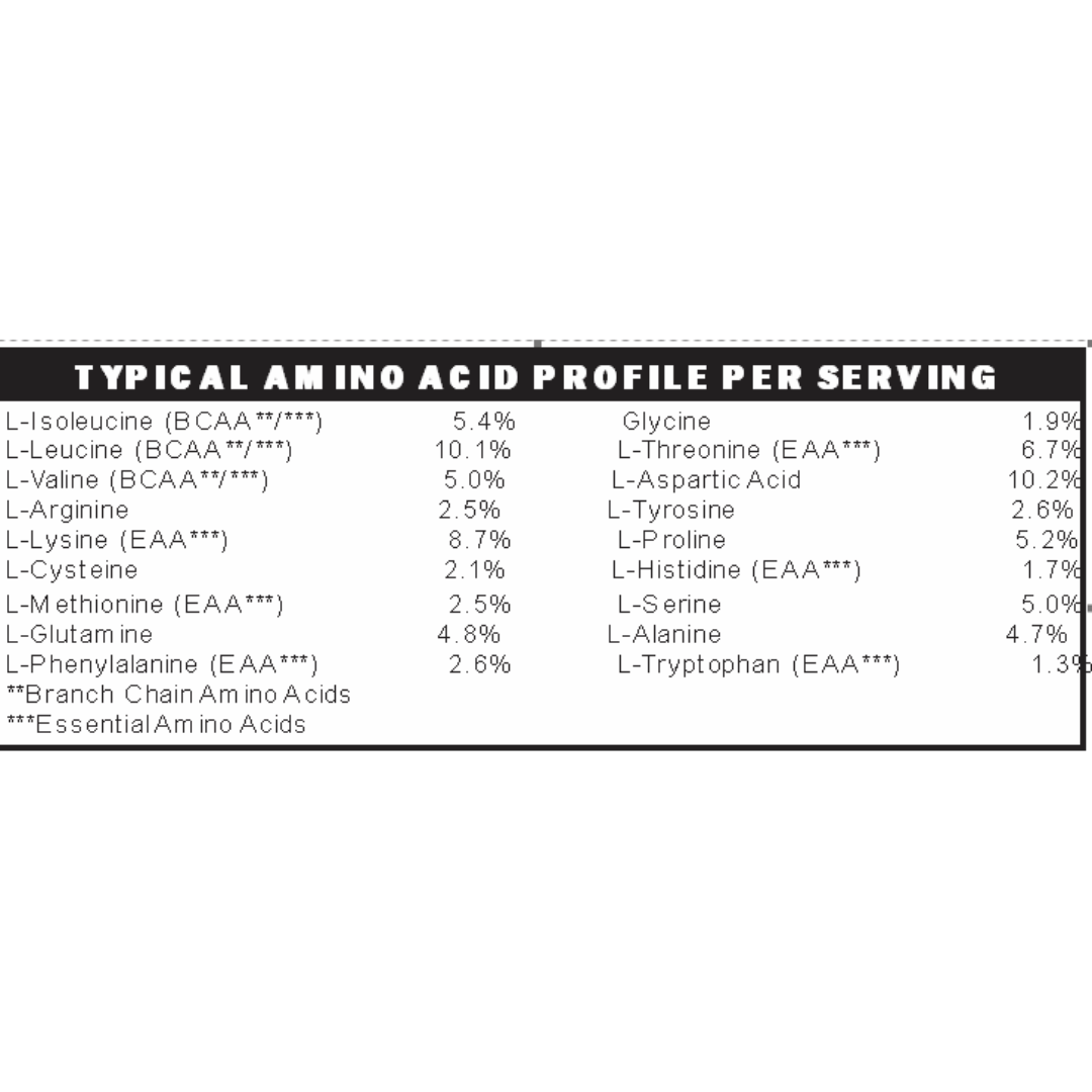 GLP-1 Companion Whey Protein (Vanilla) Low FODMAP, Gut-Gentle Nutrition Support - Digestive Support Supplements image