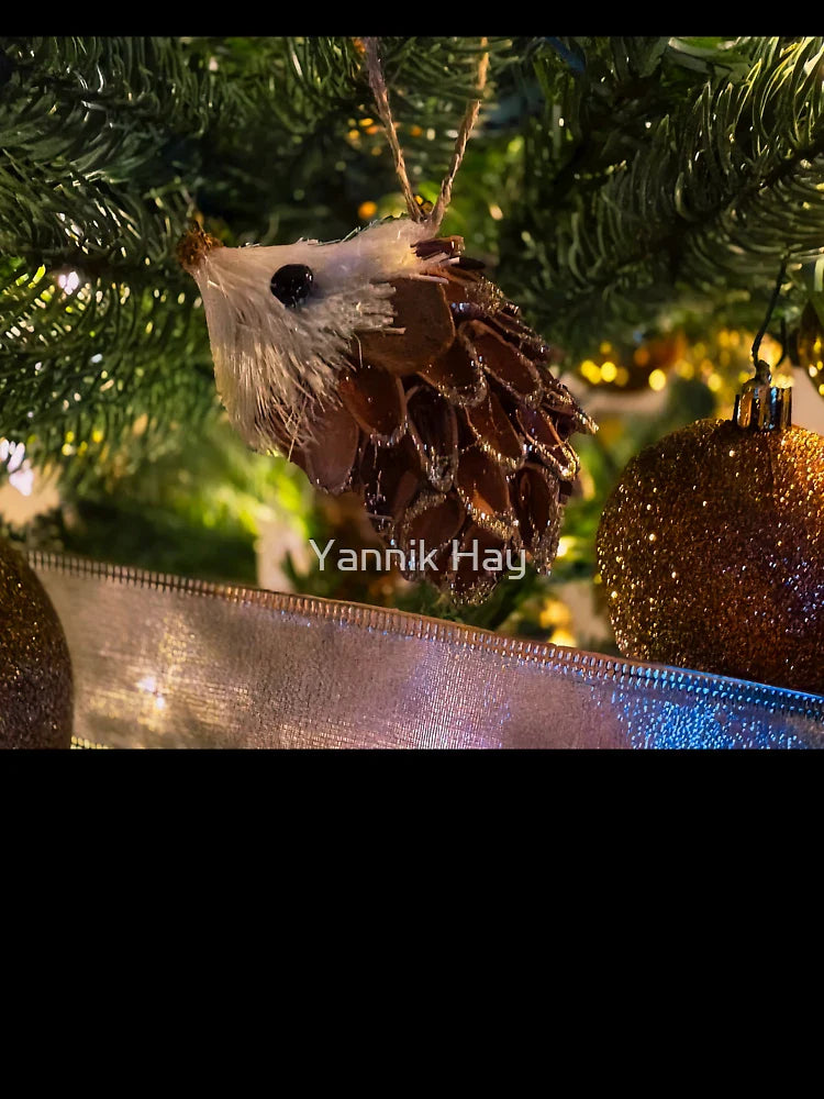 The heart of the season, shining from every branch