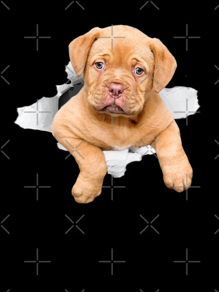 Puppy Dog coming out of a Hole
