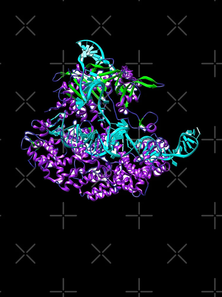 CRISPR Cas9 Complex 3D Model