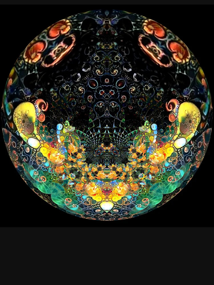 031119XX