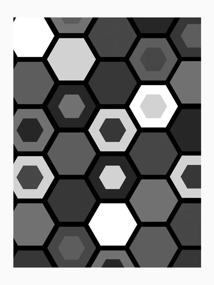 Black and White Hexagons