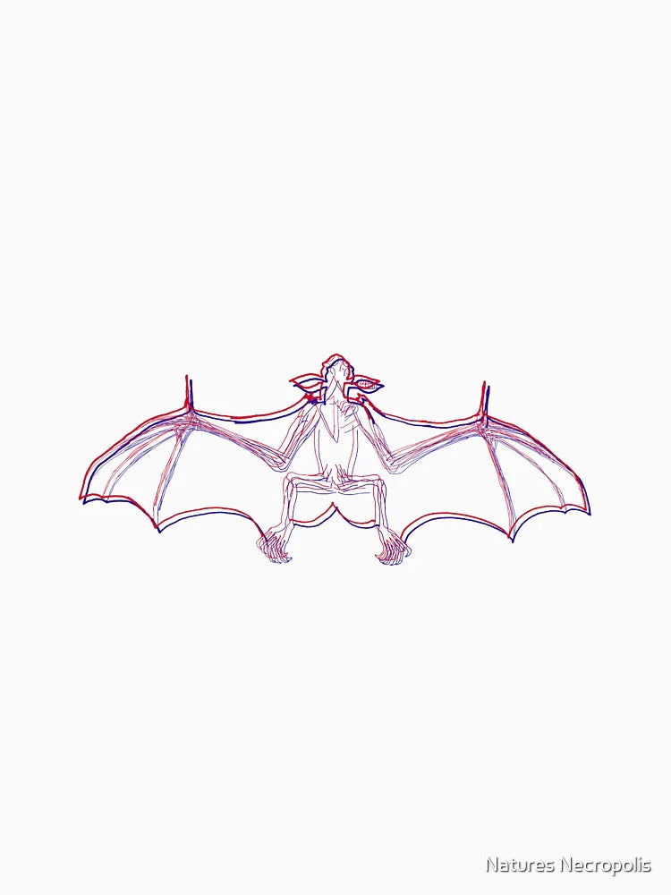 Bat Skeleton - Anaglyph