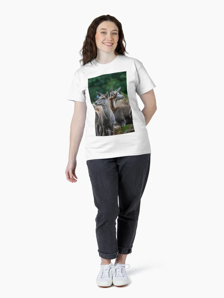 Deer Herd