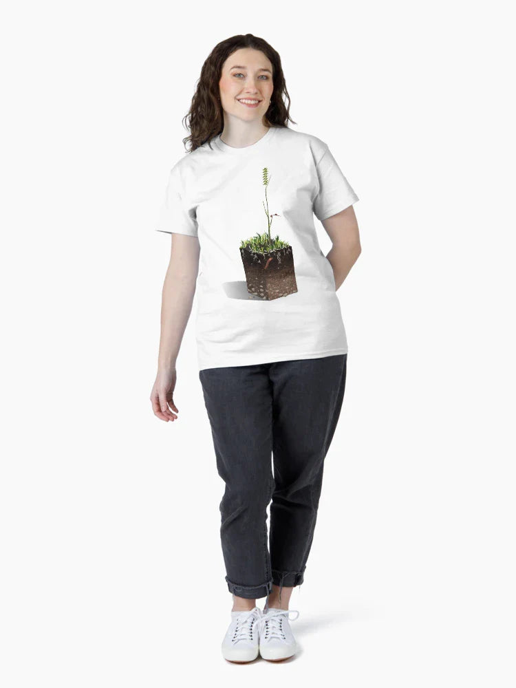 Soil 3D