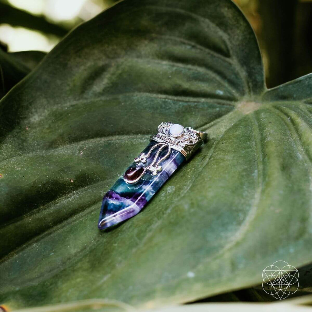 The Self-Control Pendant - Pendant Necklaces image